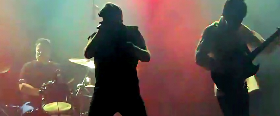 Black Back Band